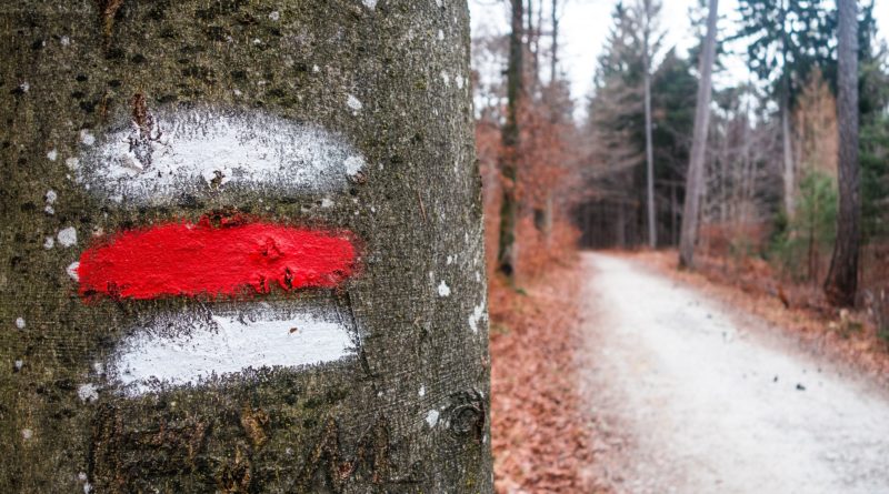 Všimli ste si v lese aj iné značky ako turistické? Viete čo znamenajú?