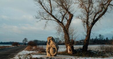 Slovansko-avarské pohrebisko